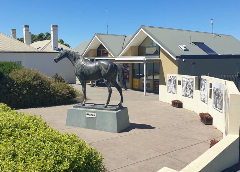 272499585 10220114273870480 3987029292954135812 n 1 768x549