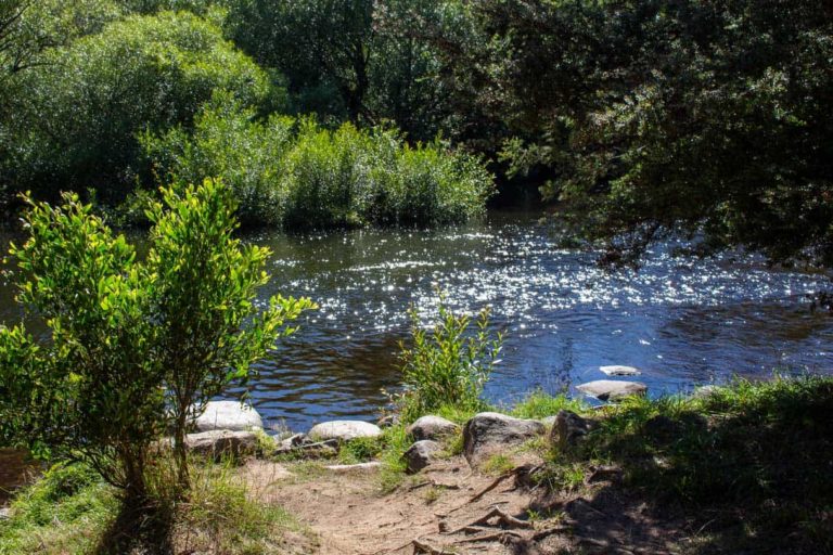 Myrtle Park 2674 768x512