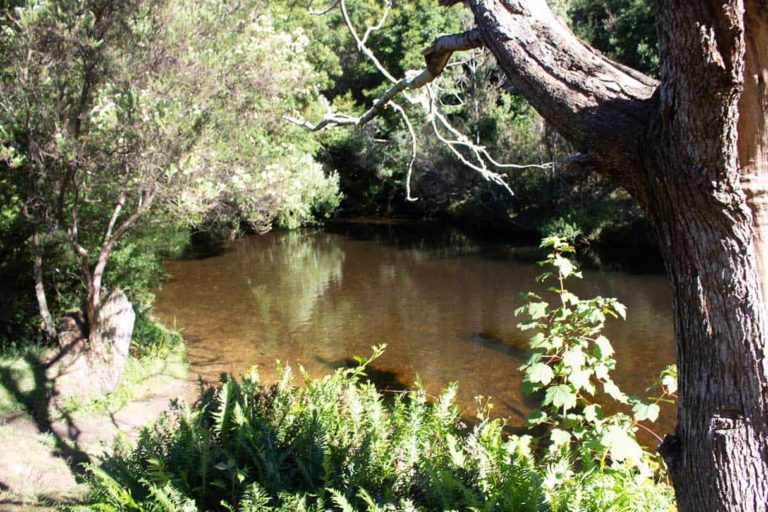 Myrtle Park 2676 768x512