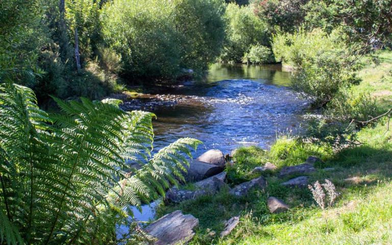 Myrtle Park 2678 768x480