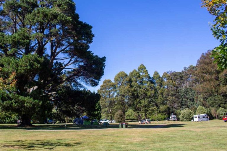 Myrtle Park 2688 768x512