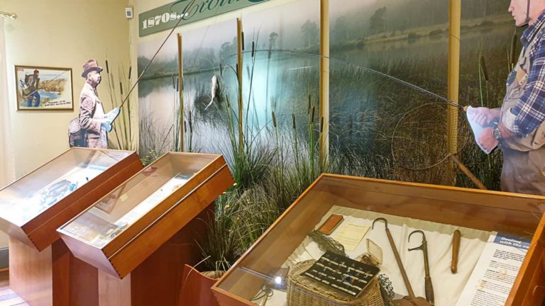 Salmon Ponds 153519 1 1 768x432