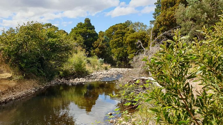 Salmon Ponds 153938 1 1 768x432