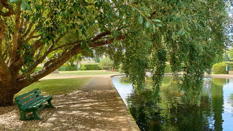 Salmon Ponds 154648 1 1 768x432