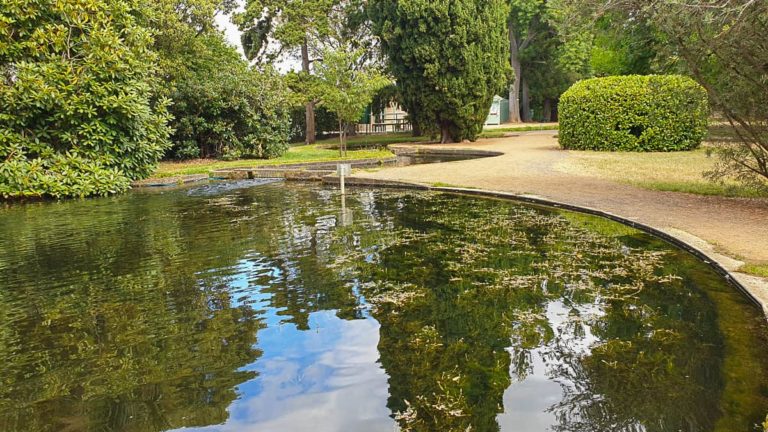 Salmon Ponds 154821 1 1 768x432