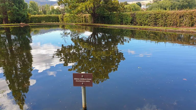 Salmon Ponds 154855 1 1 768x432