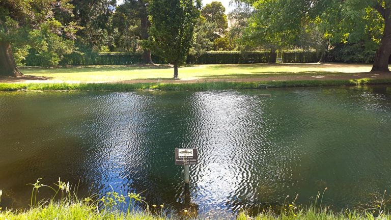 Salmon Ponds 155255 1 1 768x432