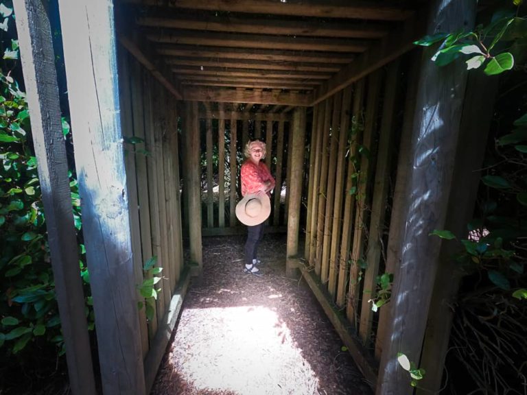 Tasmazia 0010362 768x576