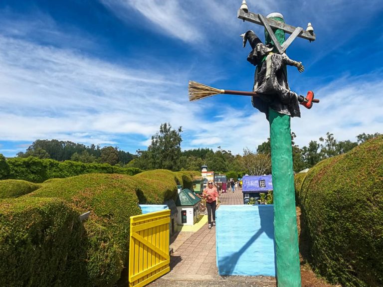 Tasmazia 0050400 768x576