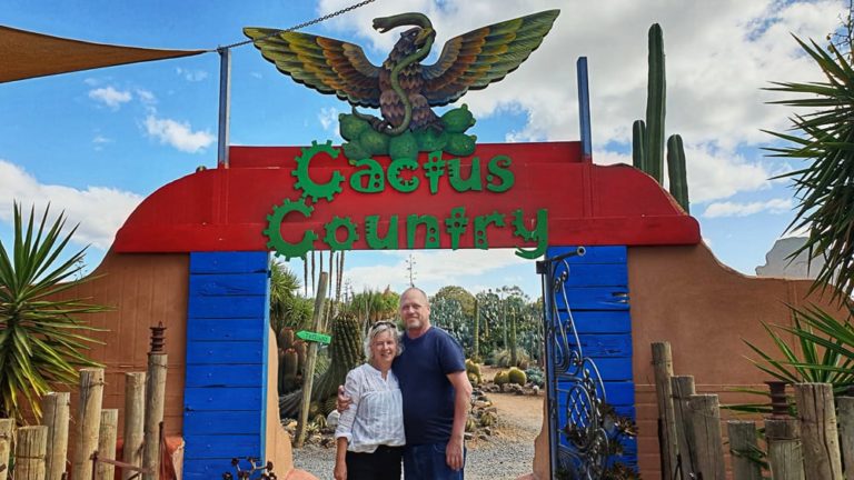 cactus country 29 1 1 768x432