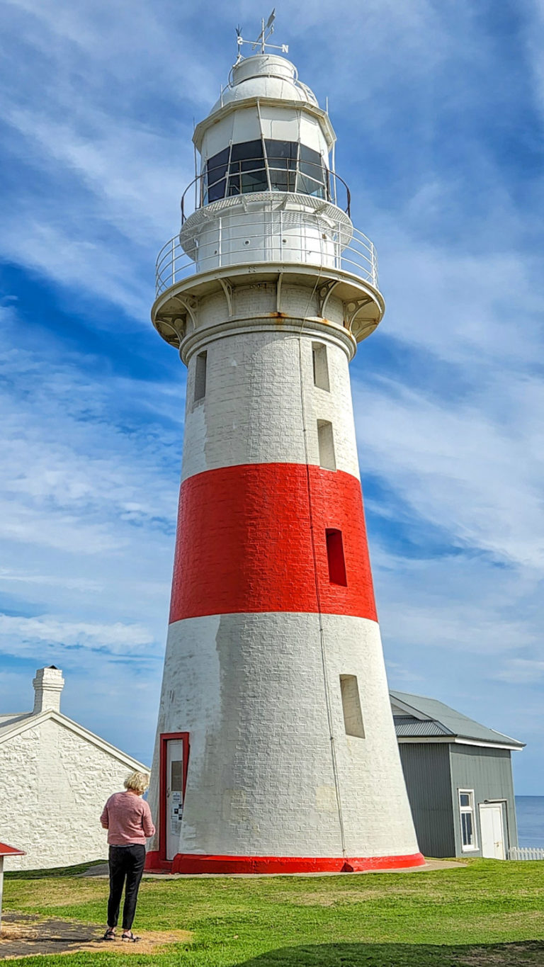 PSX 20220326 185916 768x1365