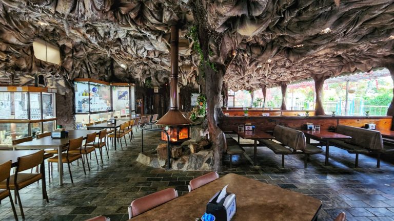 282564650 129077523091443 7896054698680070638 n 768x432