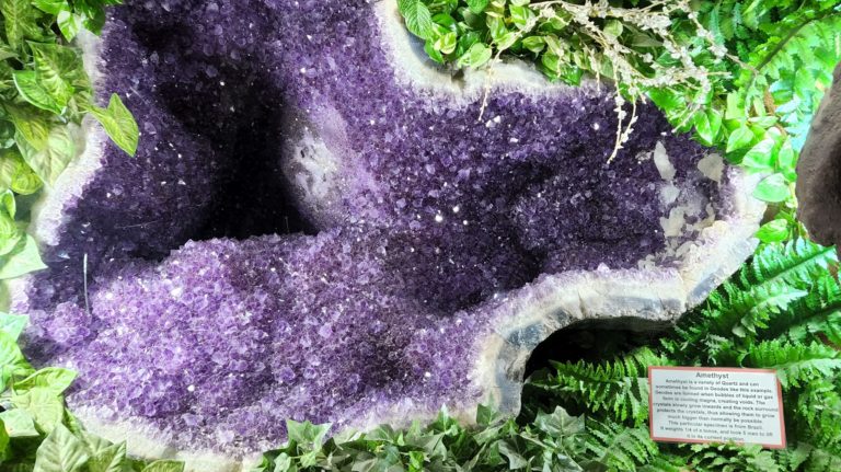 282864715 129077606424768 4206523752634411518 n 768x431