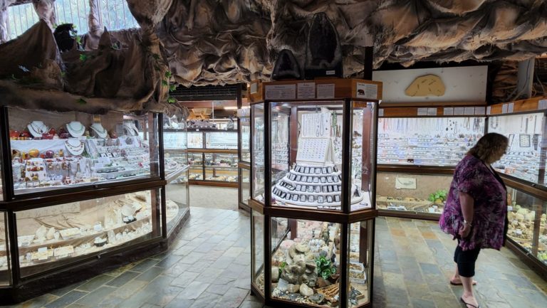 283264028 129077553091440 387602787298642436 n 768x433