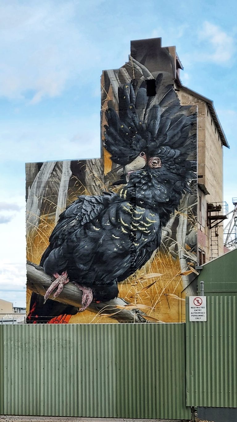 283698385 128832546449274 4133370743546862523 n 1 768x1368