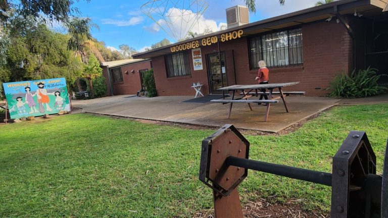 283902829 129077509758111 340835673918755886 n 768x432