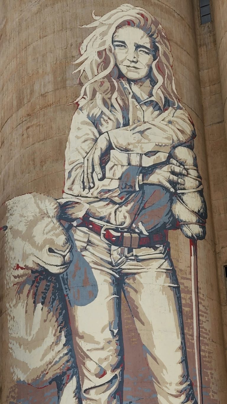 283952849 129077246424804 5020274958456517750 n 1 768x1365