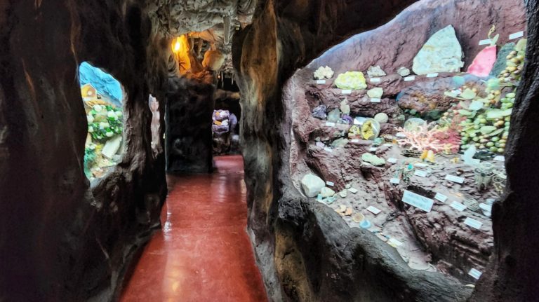 284106033 129077619758100 8237331854680164034 n 768x431