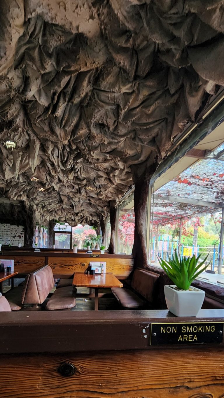 284374222 129077586424770 19938738567251815 n 768x1365