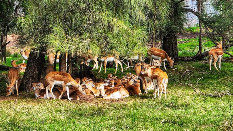 284488841 131814282817767 5925923711305395843 n 768x432