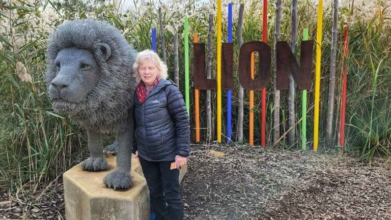 284526980 131814256151103 6924017014472725362 n 768x433