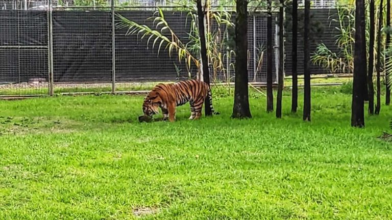 284914285 131814302817765 1775185903577329249 n 768x432