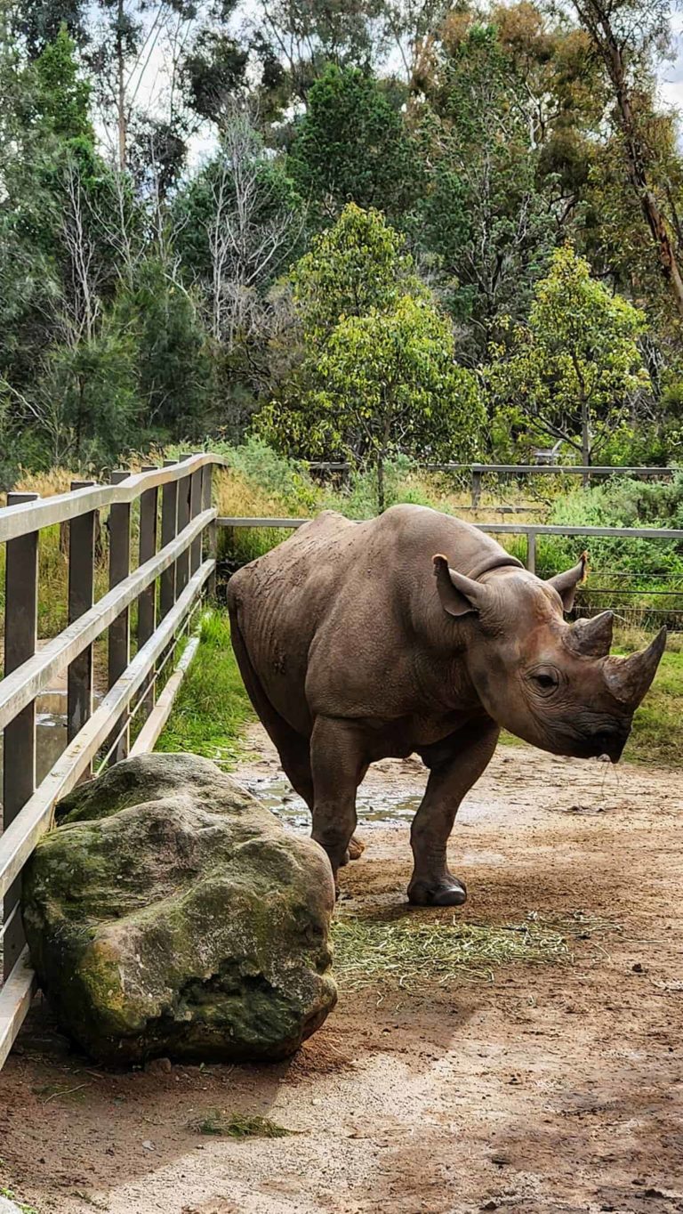 285490513 131814192817776 684526418770465287 n 768x1364