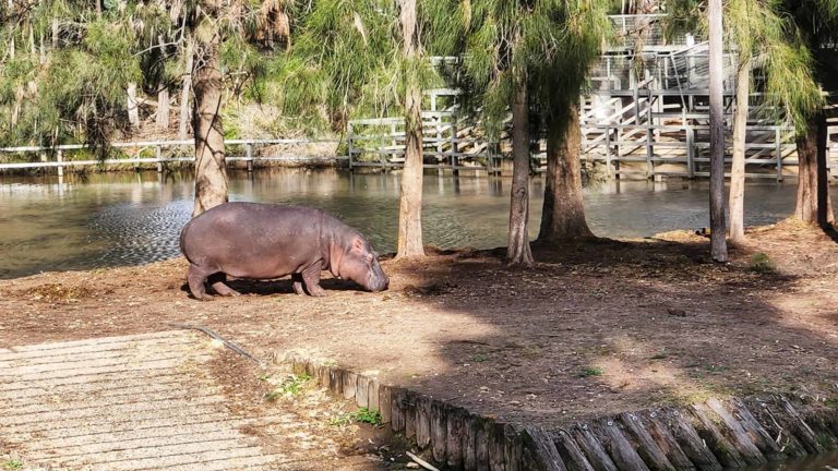 285646211 131814216151107 7231296204943827616 n 768x432