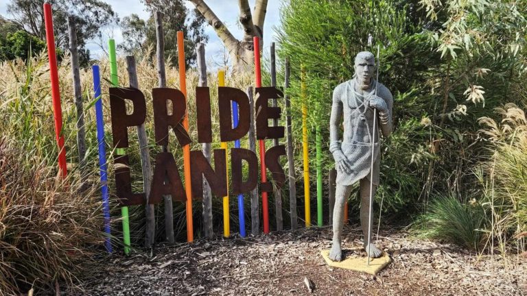 285674337 131814269484435 5692346693804746999 n 768x432