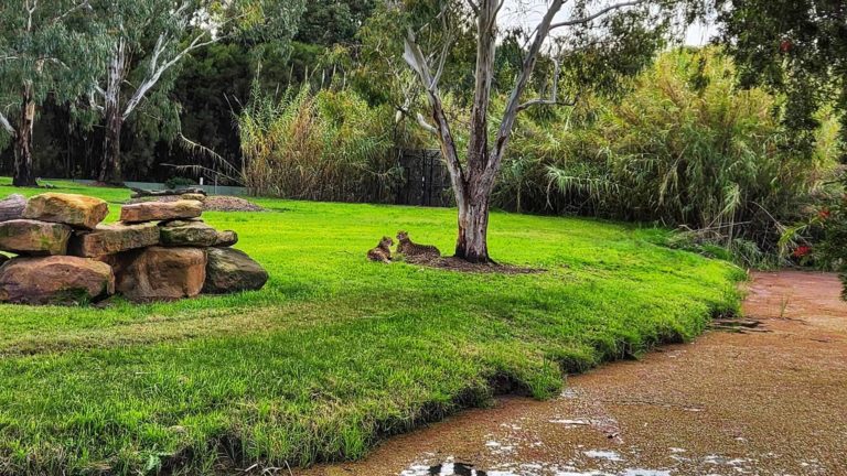 285746611 131814326151096 4508606783375387910 n 768x432