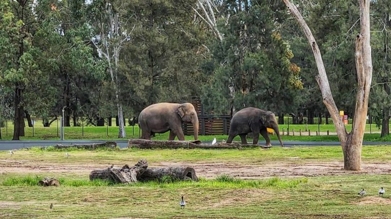 285757243 131814236151105 2400130722151145169 n 768x431