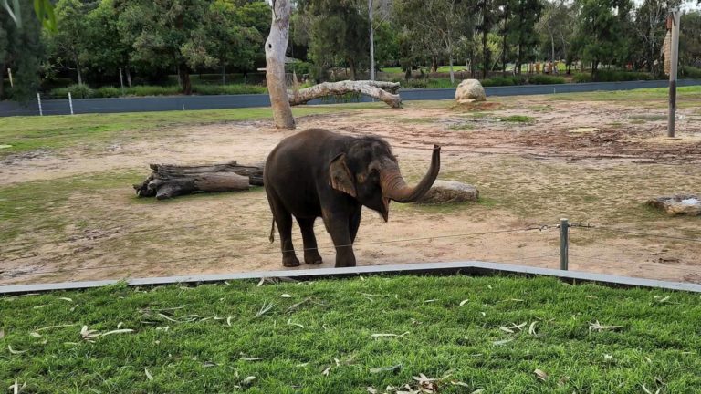 285792456 131814309484431 1156187354649798233 n 768x432