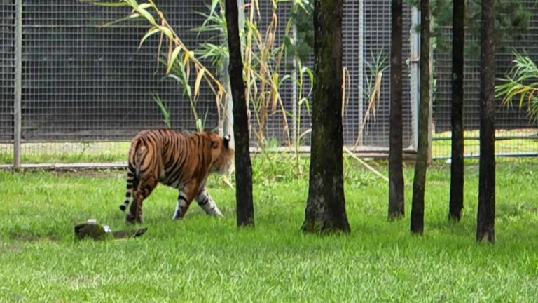 285892737 131814292817766 5669444771021361997 n 768x432