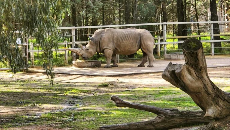 285997521 131814222817773 3967655445522504495 n 768x433