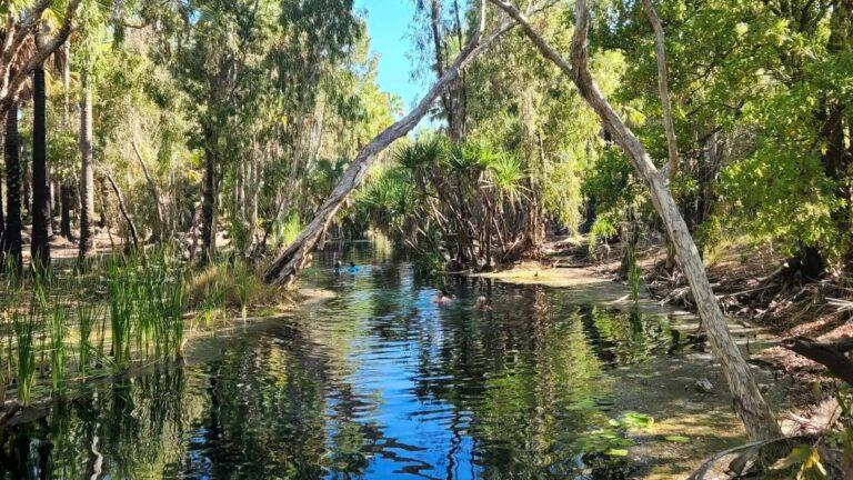 20220814 094618 Edit 1 768x432