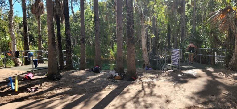 20220814 095143 2 768x355