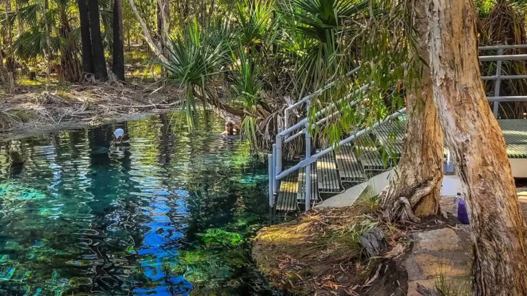 20220814 095317 2 768x432