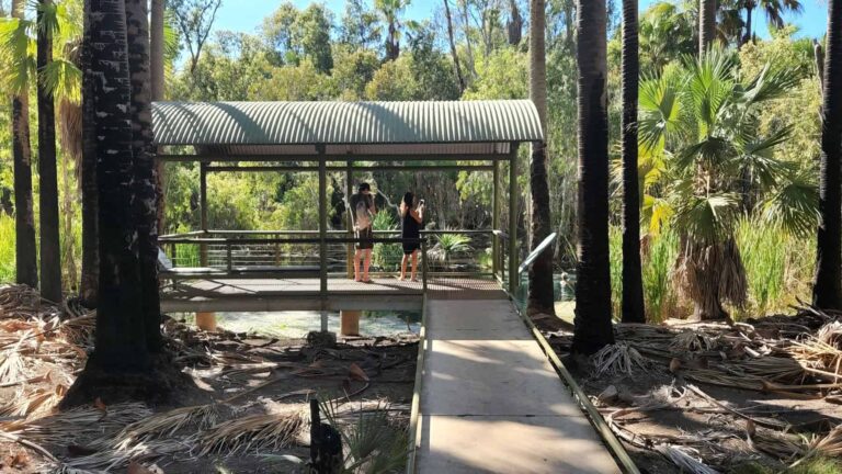 20220814 095452 1 768x432