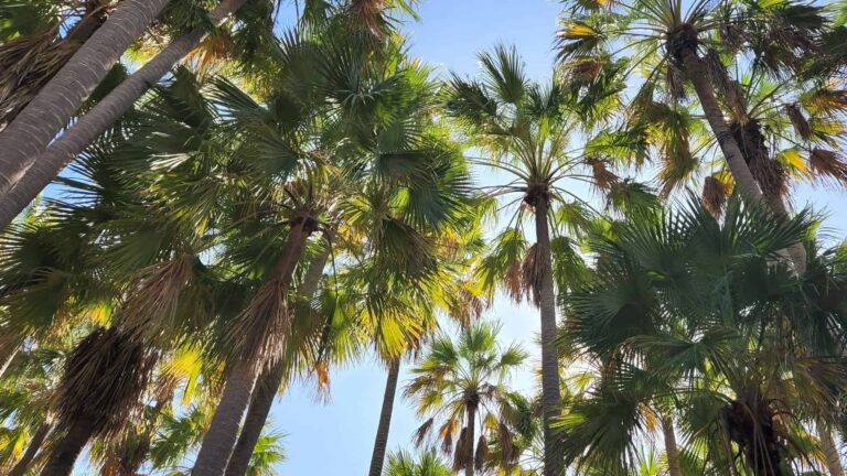 20220814 095512 1 768x432