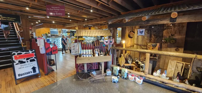 314696247 181965571162159 3988845083845486280 n 1 768x355