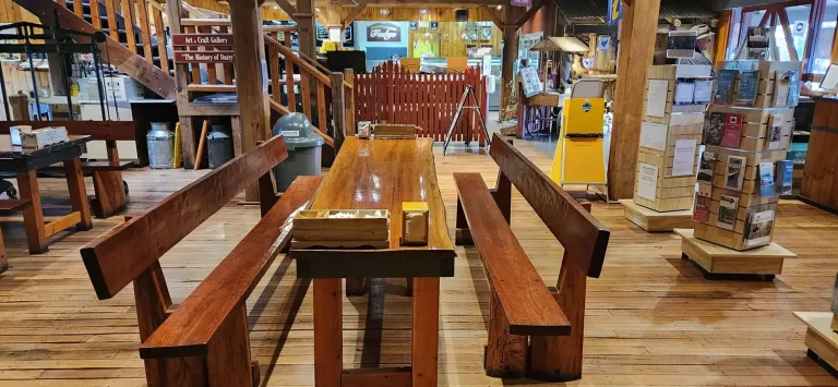 315307880 181965617828821 2415834205548776700 n 1 768x355